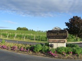 winery2