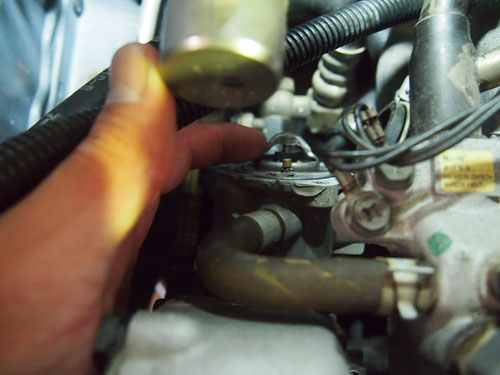 レイシー　TC1010サーモスタット レイシー サーモコントローラー TC-101 水槽 | チャーム