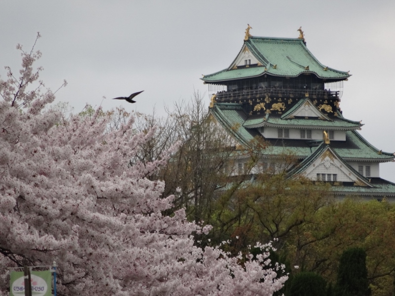 大阪城1