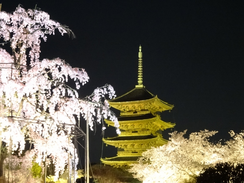 東寺1
