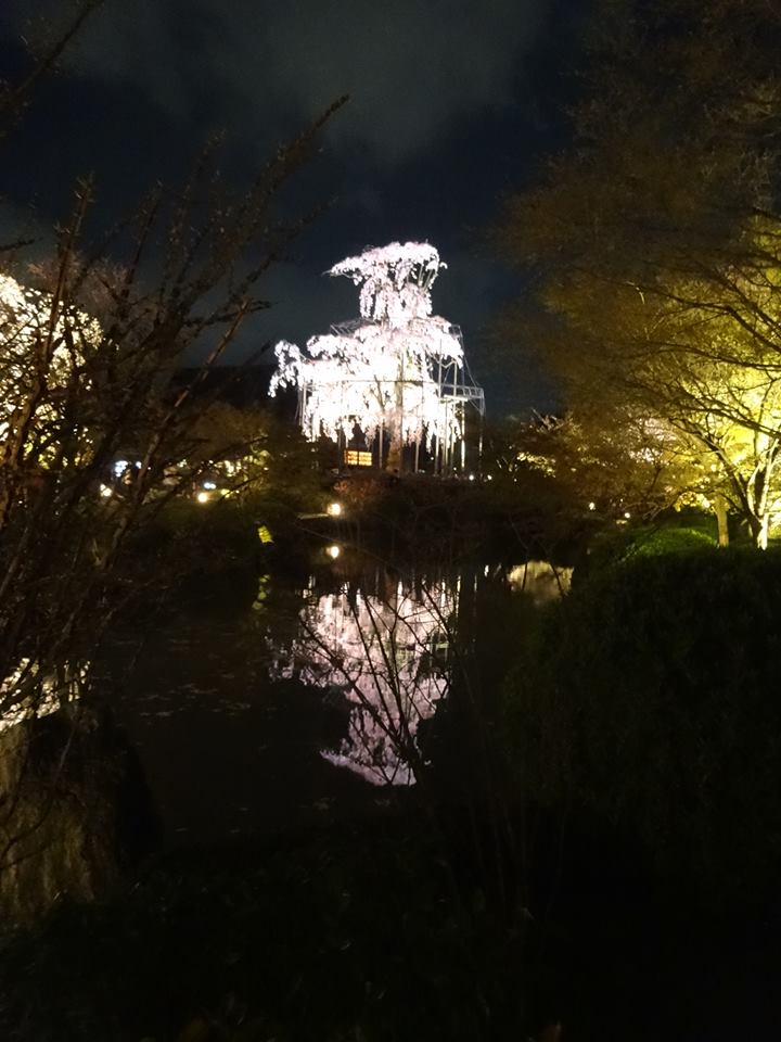 東寺3