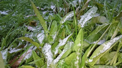 12/17雪