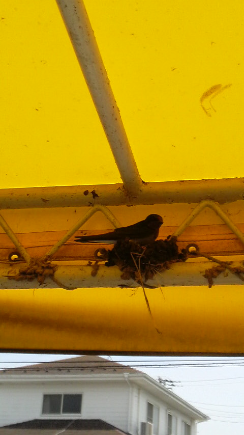 2012060412260000.jpg