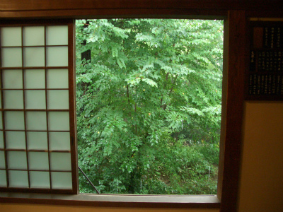 朝雨