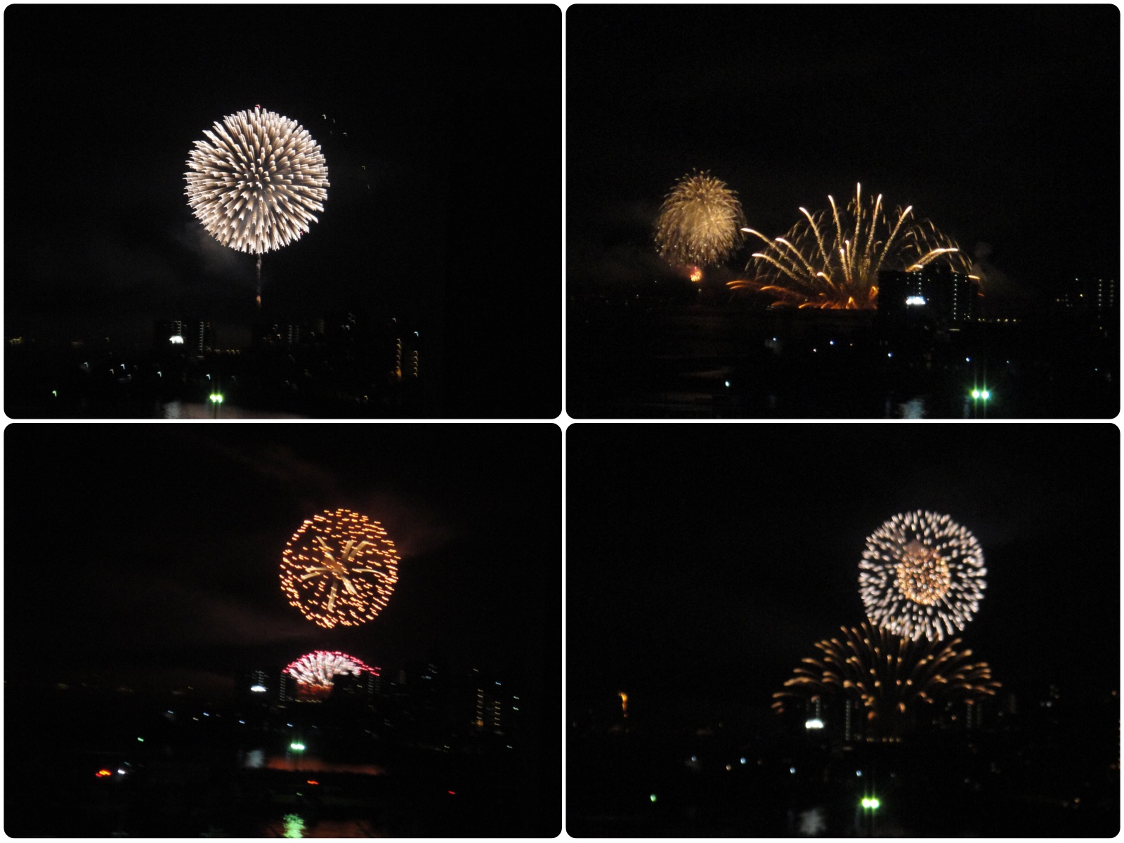 今年の花火3