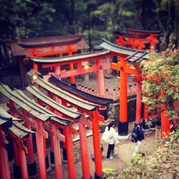 伏見稲荷 京都 anyan