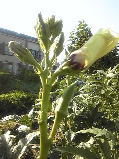 101002_1531~01.jpg