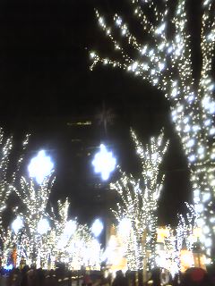 101223_1844~01.jpg