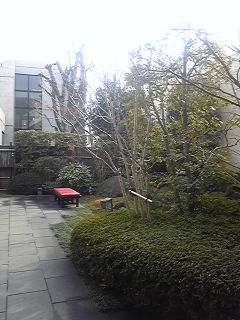 120119_1149~01.jpg