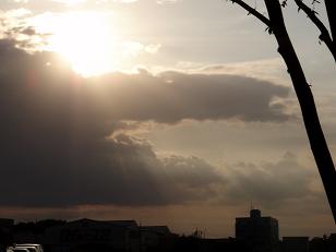 夕日1