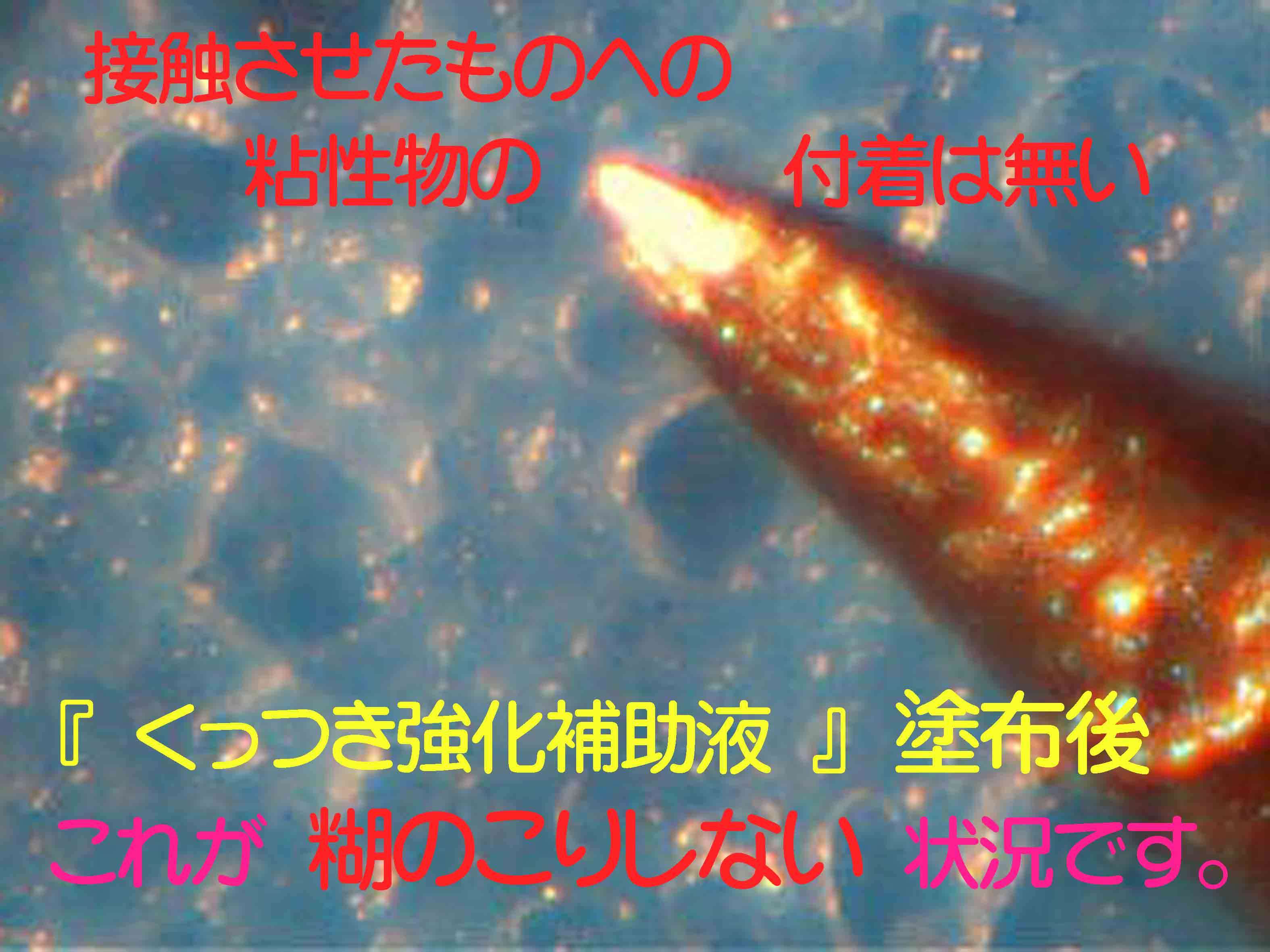 µÛÃå¡¡Êä½õ±Õ¡¡¸Ò»Ä¤ê̵