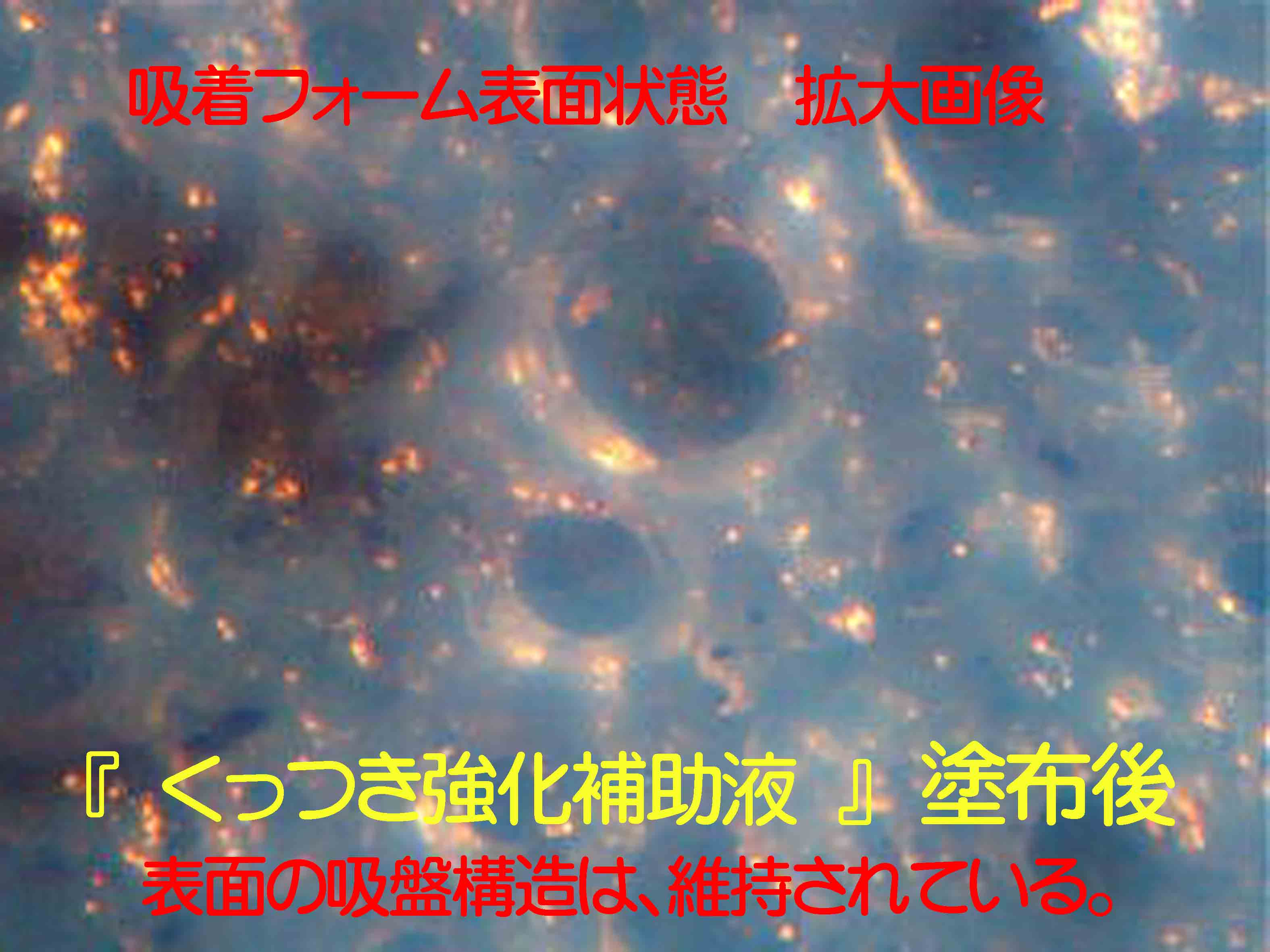 µÛÃå¥Õ¥©¡¼¥à¡¡Êä½õ±Õ¡¡ÅÉÉÛ¸å