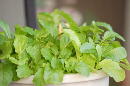野菜ミックス