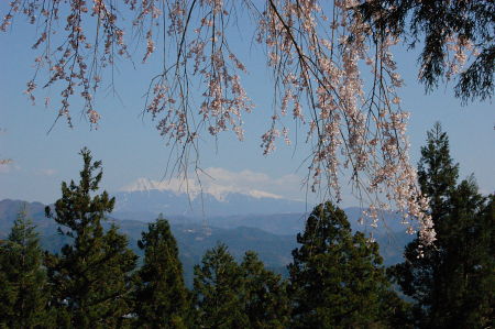 千光寺からみる御嶽山
