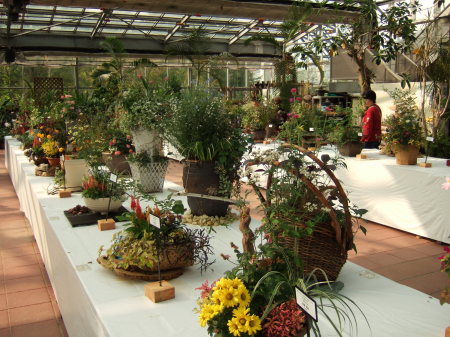 寄せ植えコンテスト