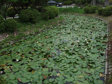 浅野公園2