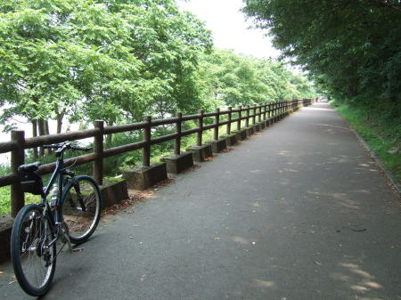 木曽川扶桑緑地公園2