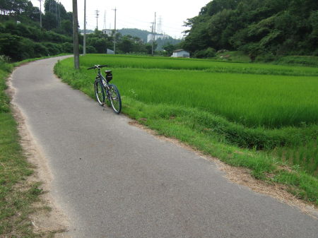 夏休み3