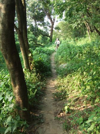 冒険道