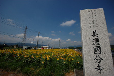 再ひまわり3