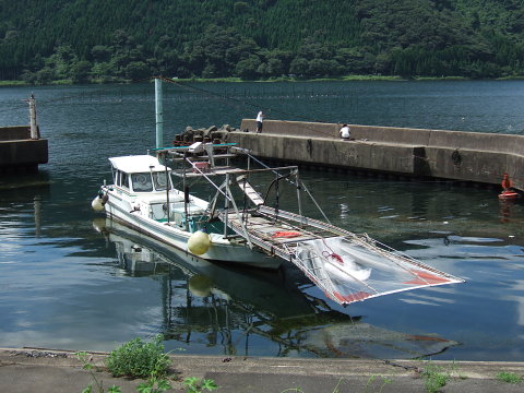 小鮎のすくい漁