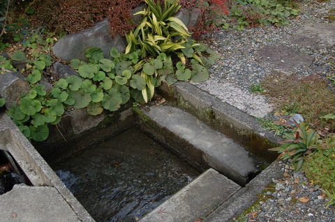 田舎の洗い場