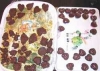 型抜きチョコ