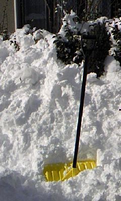 雪