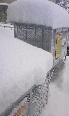 雪