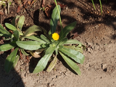 PA190195.JPG