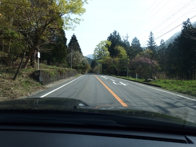 P4270650.JPG