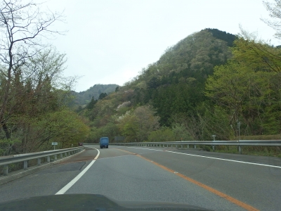 P4270654.JPG