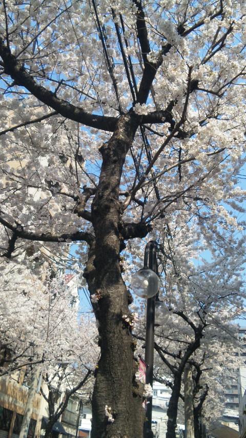 120409_093809.jpg
