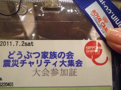 IMGP5905.JPG