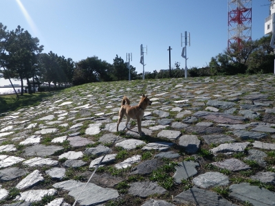 IMGP8578.JPG