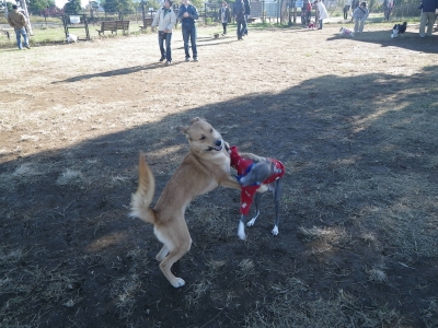 IMGP8592.JPG