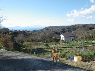 IMGP9183.JPG