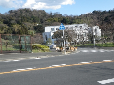 IMGP9203.JPG