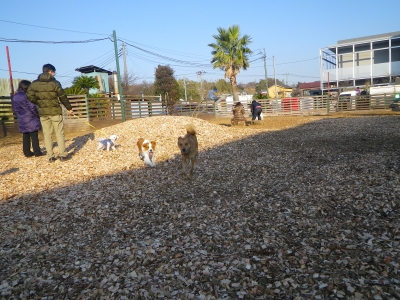 IMGP9476.JPG