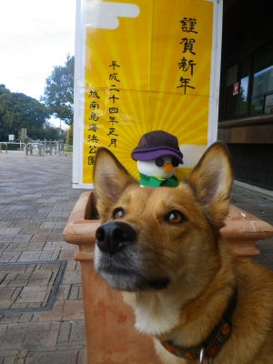 IMGP9658.JPG