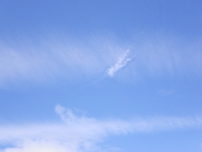 IMGP9667.JPG