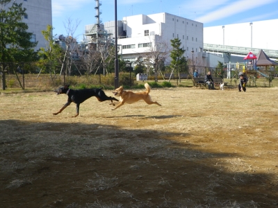 IMGP9672.JPG