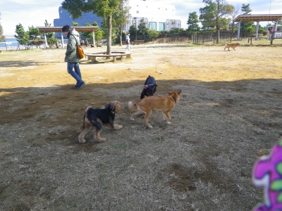 IMGP9683.JPG