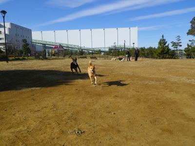 IMGP9702.JPG