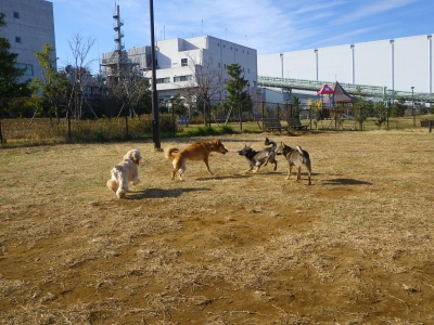 IMGP9707.JPG