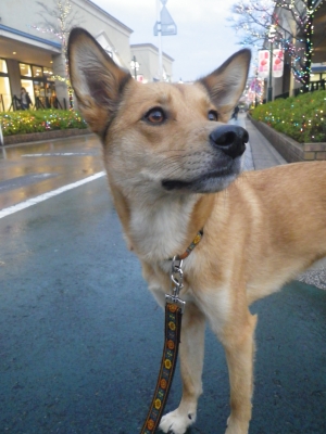IMGP0196.JPG