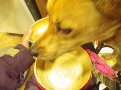 IMGP0218.JPG