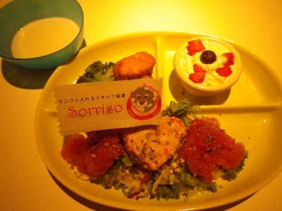 IMGP0238.JPG
