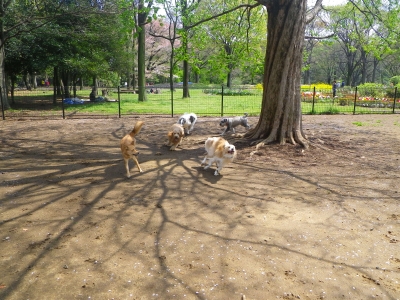 IMGP0800.JPG