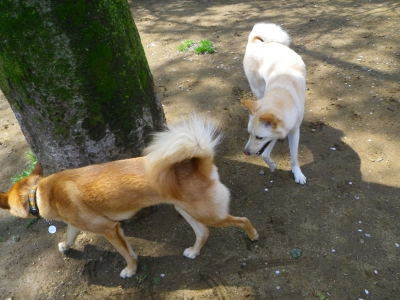 IMGP0803.JPG